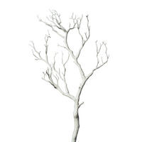 UMĚLÁ KVĚTINA 75 cm - bílá, Basics (75cm)
