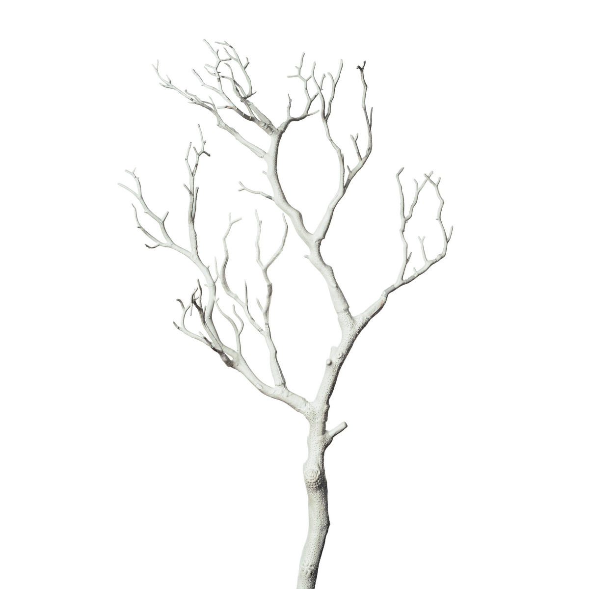 UMĚLÁ KVĚTINA 75 cm - bílá, Basics (75cm)