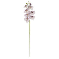 MŰNÖVÉNY - lila/zöld, Basics, műanyag (96cm)
