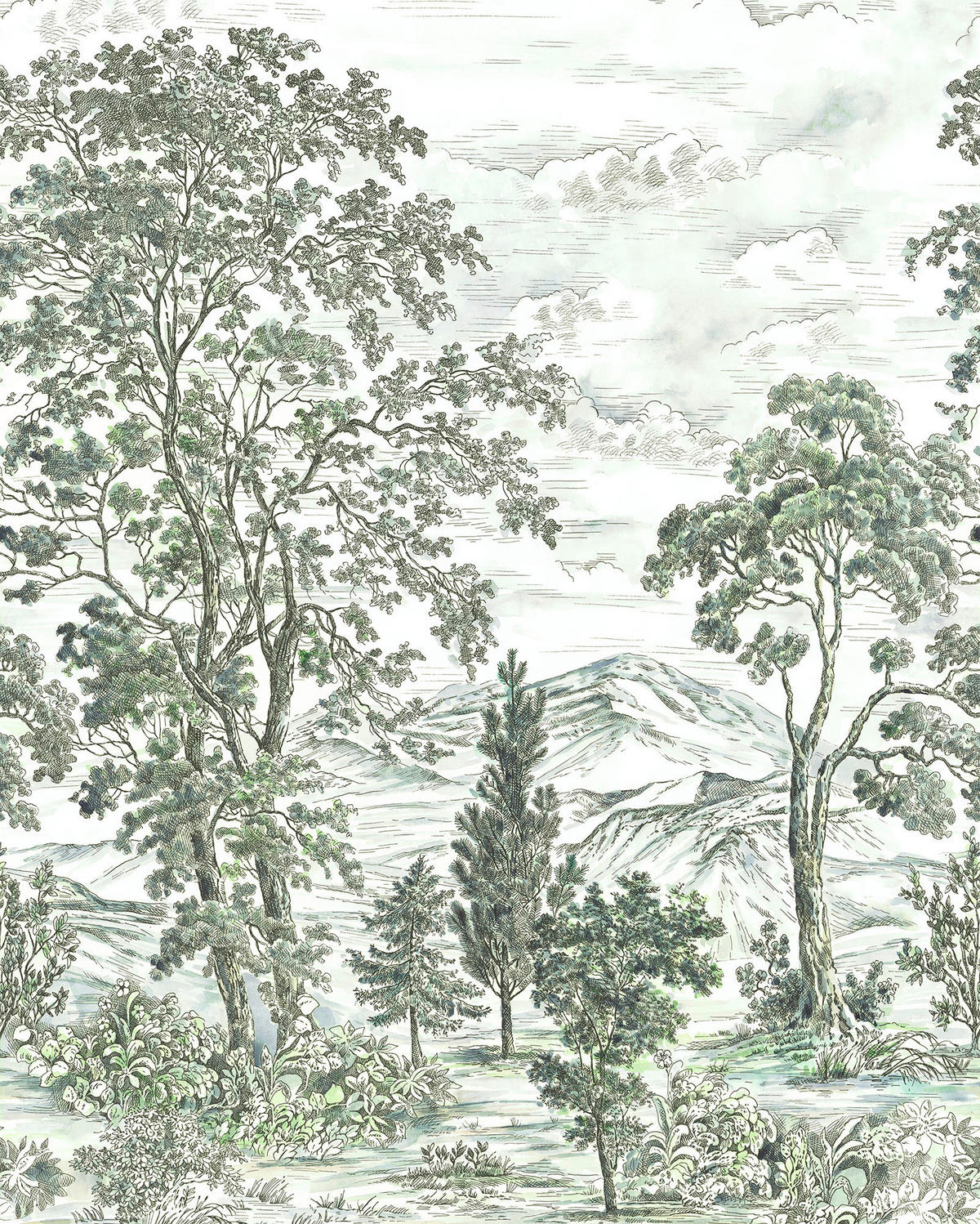 VLIESTAPETE - Weiß/Grün, Basics (200/250cm) - Komar