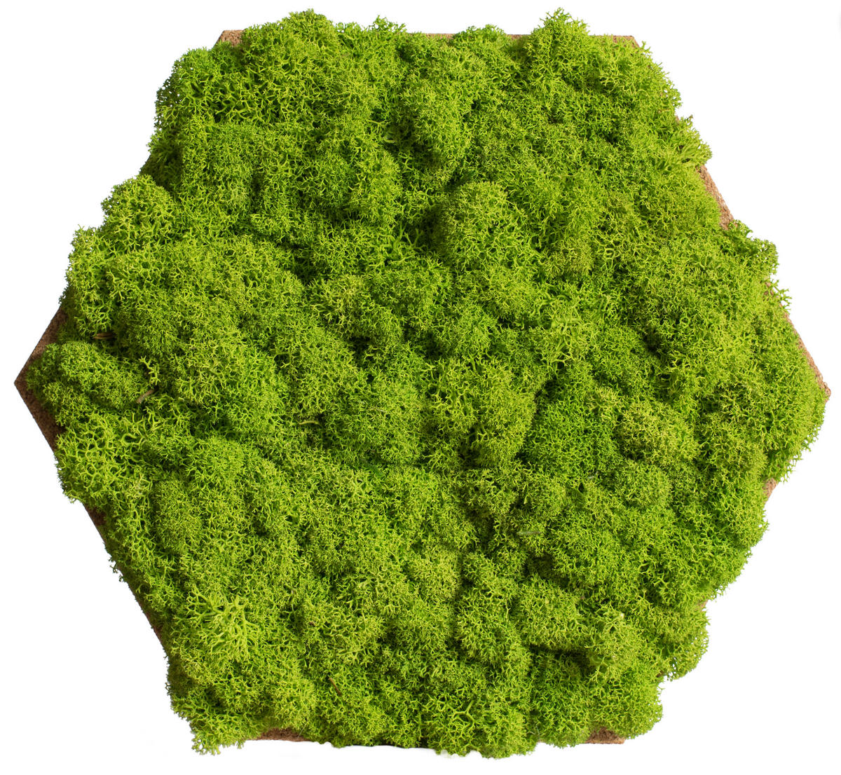 MOOSPANEEL Stylegreen  - Hellbraun/Grün, Basics, Naturmaterialien/Holz (19/22cm)