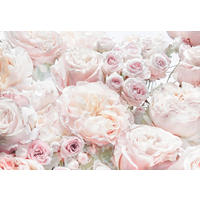 FOTOTAPETE - Rosa/Weiß, Basics (368/254cm) - Komar