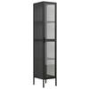 VITRINE in Schwarz  - Transparent/Schwarz, Design, Glas/Metall (30/160/35cm) - MID.YOU