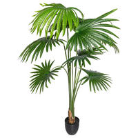 KUNSTPFLANZE Palme 150 cm  - Schwarz/Grün, Design, Kunststoff (150cm) - P & B