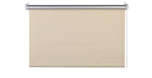 ROLLO 100/160 cm  - Beige, LIFESTYLE, Kunststoff (100/160cm) - Homeware