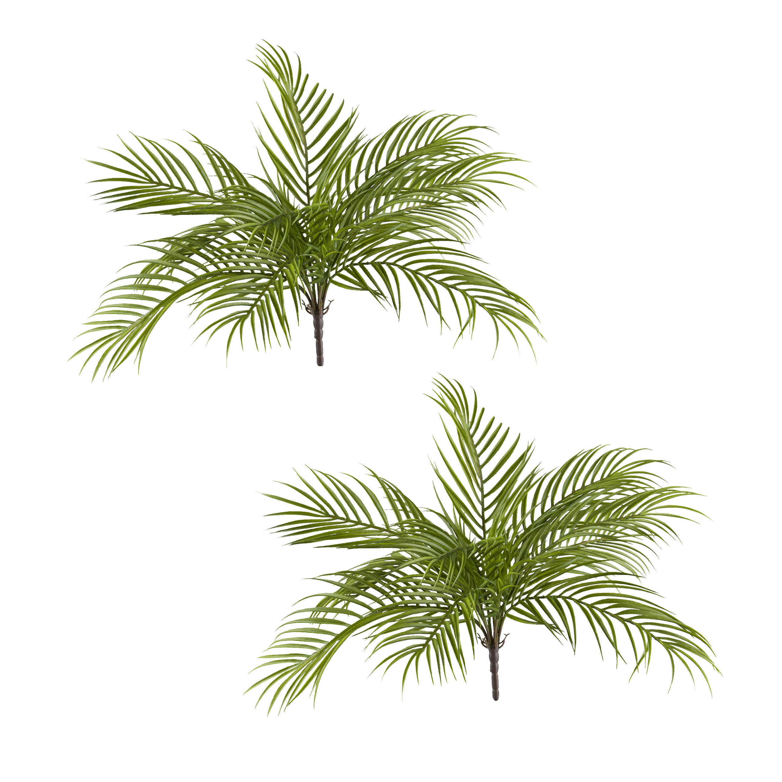 KUNSTPFLANZE Palme 48 cm  - Grün, Design, Kunststoff (48cm) - P & B