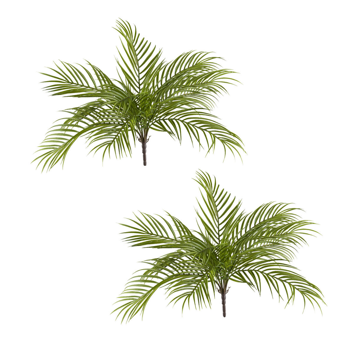 KUNSTPFLANZE Palme 48 cm  - Grün, Design, Kunststoff (48cm) - P & B