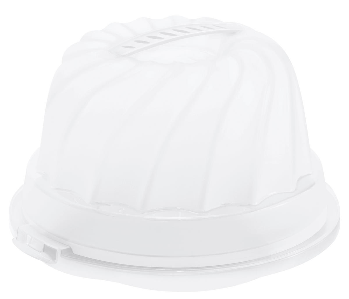 POKLOP NA TORTU, 30,5/28,5/17,5 cm - modrá/prírodná farba, Basics, plast (30,5/28,5/17,5cm) - Rotho