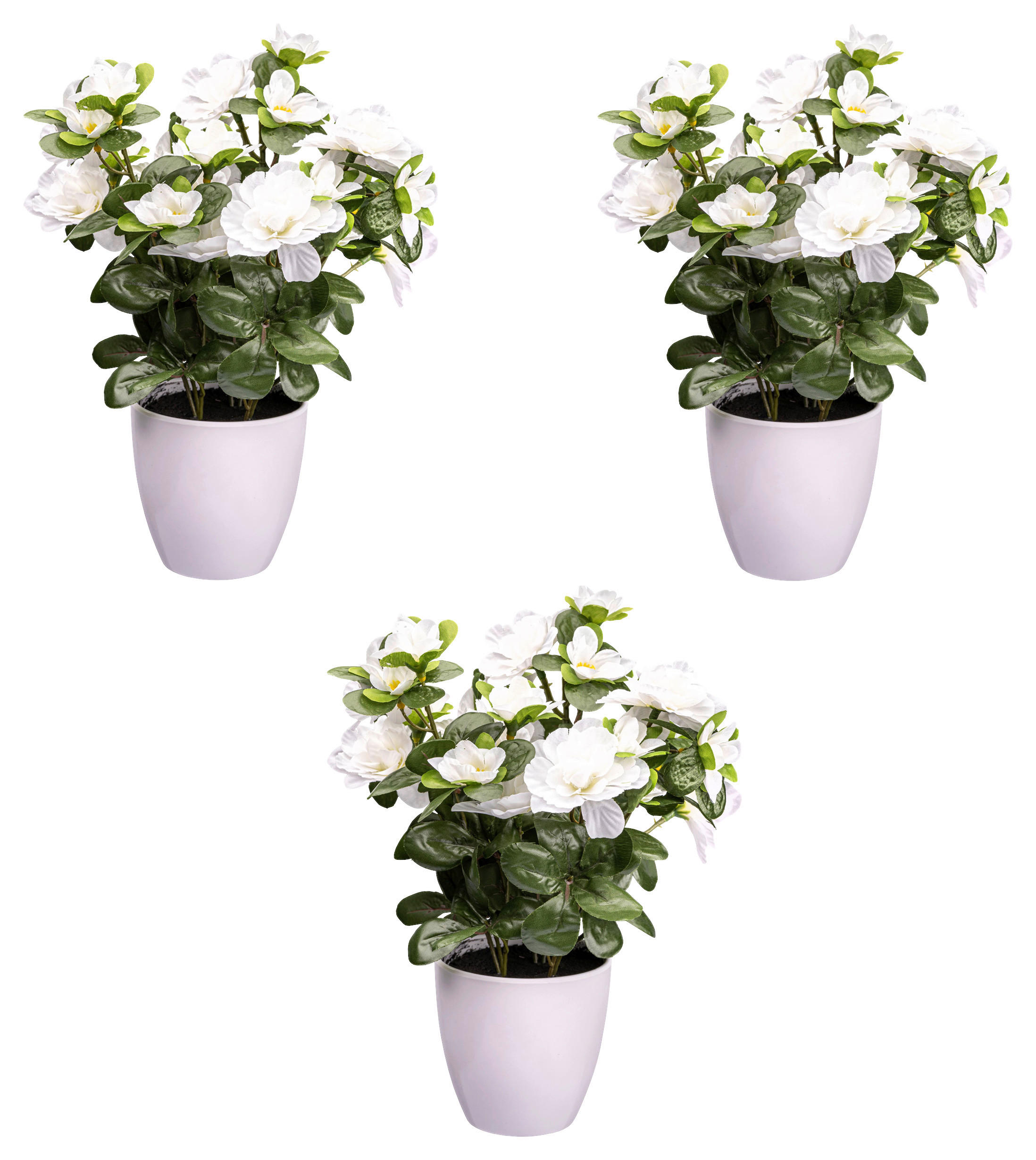 KUNSTPFLANZE 26 cm  - Weiß/Grün, Design, Kunststoff (26cm) - P & B