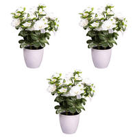 KUNSTPFLANZE 26 cm  - Weiß/Grün, Design, Kunststoff (26cm) - P & B