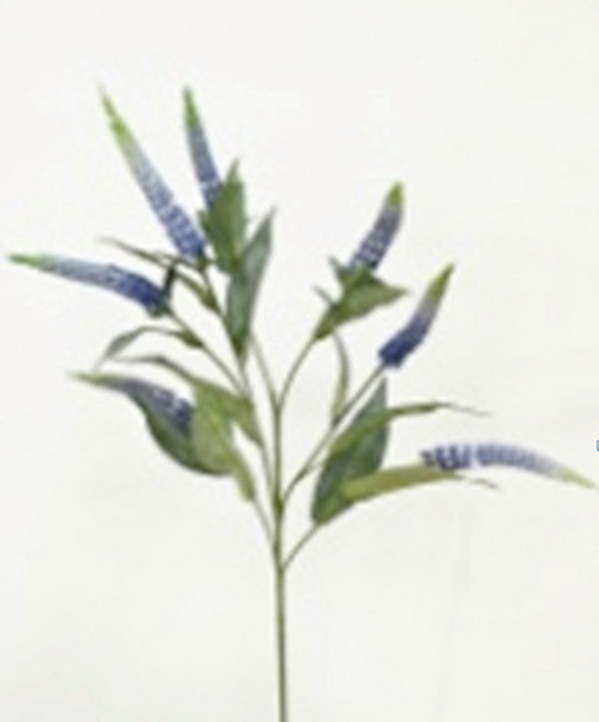 DEKORAČNÁ KYTICA  - lila/zelená, Basics, plast (83/20/20cm)