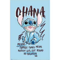 POSTER 61/91,5 cm  - Multicolor, LIFESTYLE, Papier (61/91,5cm) - Reinders!