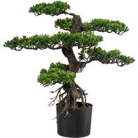 KUNSTPFLANZE Bonsai 75 cm  - Schwarz/Braun, Design, Kunststoff (75cm) - P & B