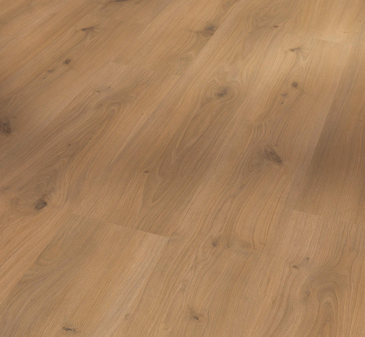 LAMINATBODEN Laminat Basic 400  per  m² - Eichefarben, Basics, Holzwerkstoff (128.5/19.4/0.8cm) - Parador