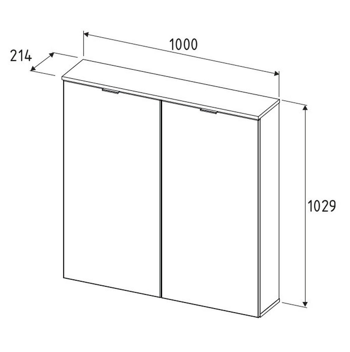 SCHUHSCHRANK 100/103/22 cm  - Weiss/Schwarz, Design, Holzwerkstoff/Metall (100/103/22cm) - Livetastic