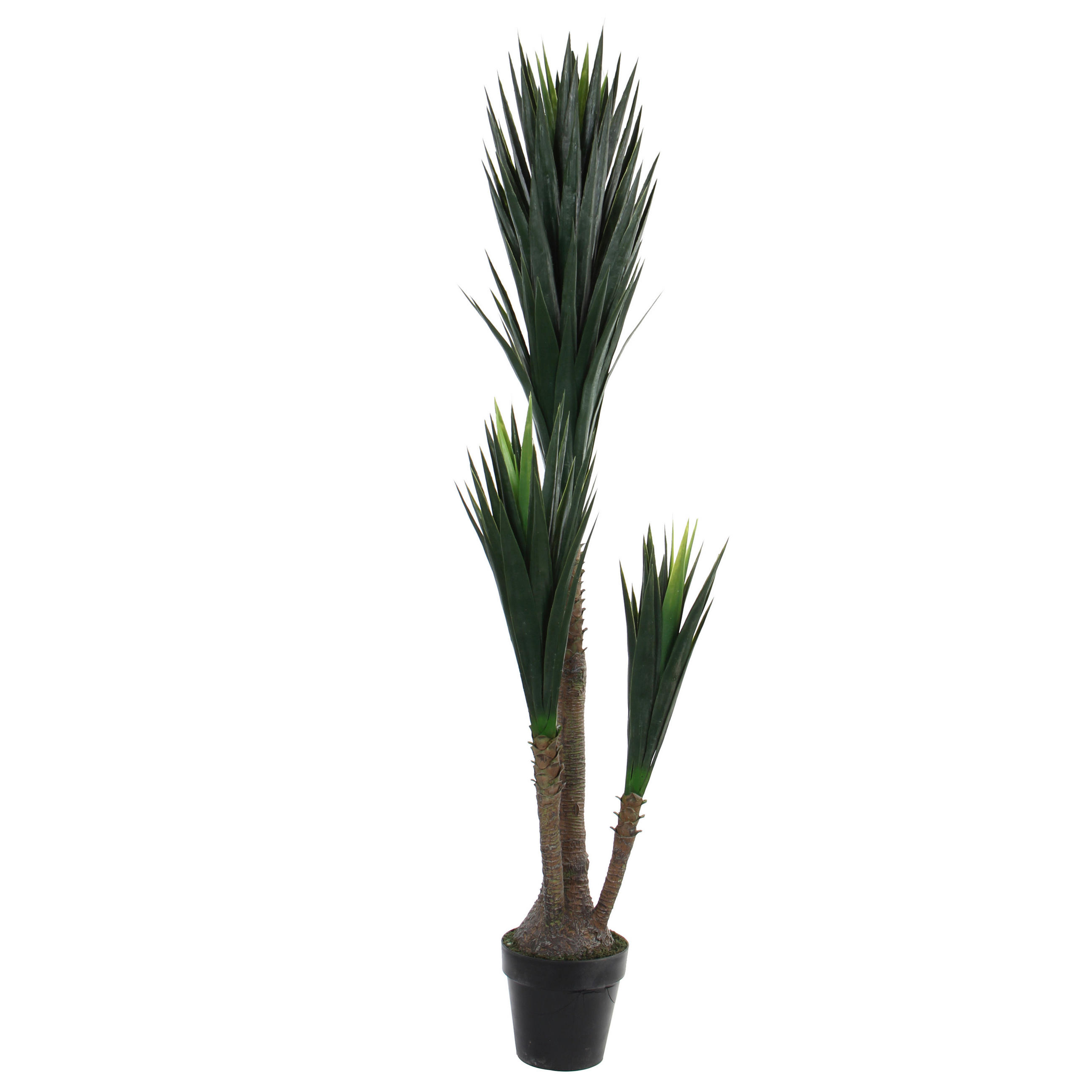 BILJKA UMJETNA - zelena/crna, Basics, plastika (80/160cm)
