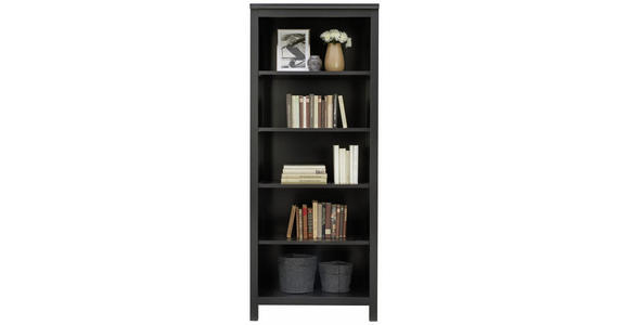 REGALELEMENT 80/200/47 cm Schwarz - Schwarz, Design, Holzwerkstoff (80/200/47cm) - Carryhome