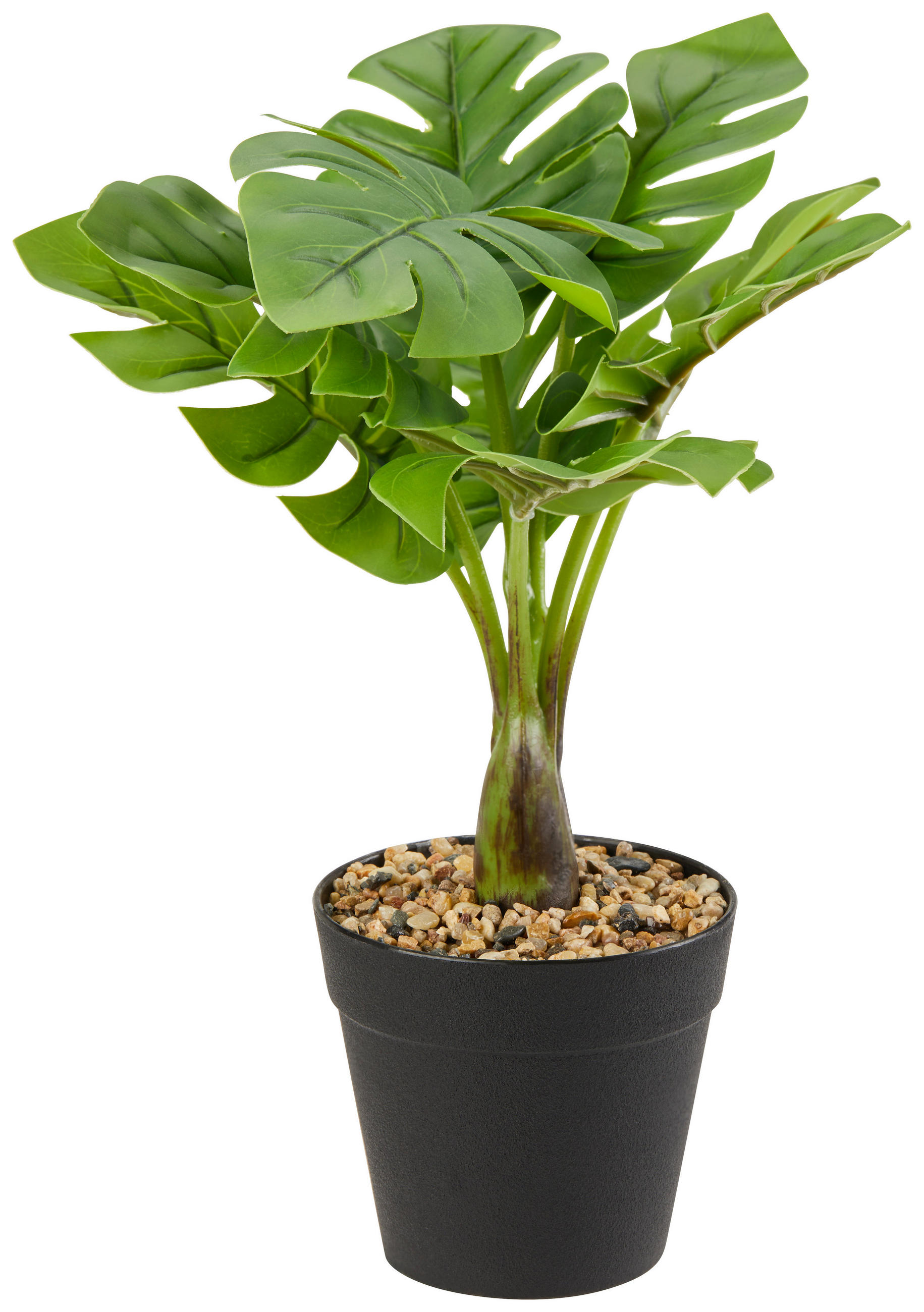 Kunstpflanzen Philodendron Grün/schwarz L: 30 Cm Mit Topf