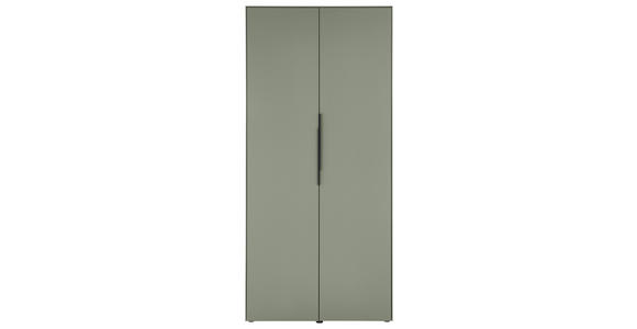 SCHUHSCHRANK  in 90/195/38 cm  - Salbeigrün/Schwarz, Design, Holzwerkstoff/Kunststoff (90/195/38cm) - Voleo
