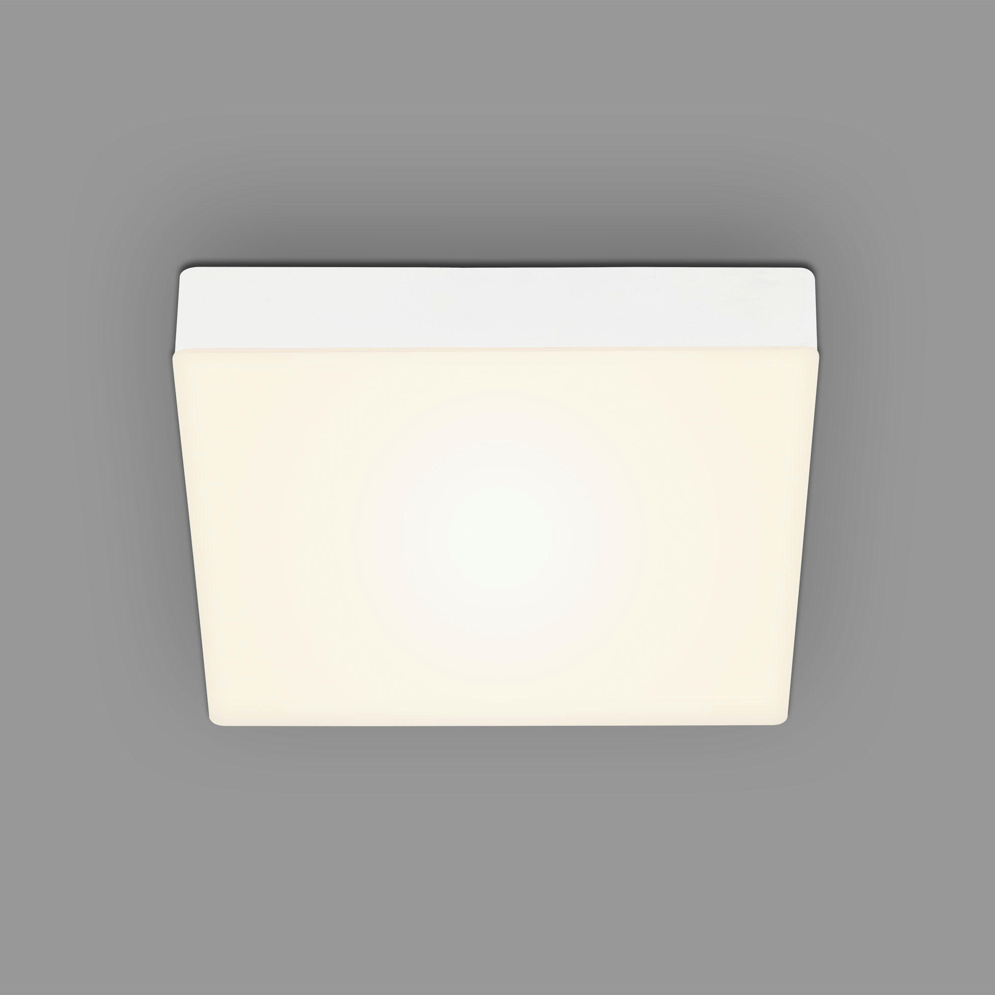 STROPNÍ LED SVÍTIDLO, 21.2/21.2/3.6 cm - bílá, Design, plast (21.2/21.2/3.6cm)