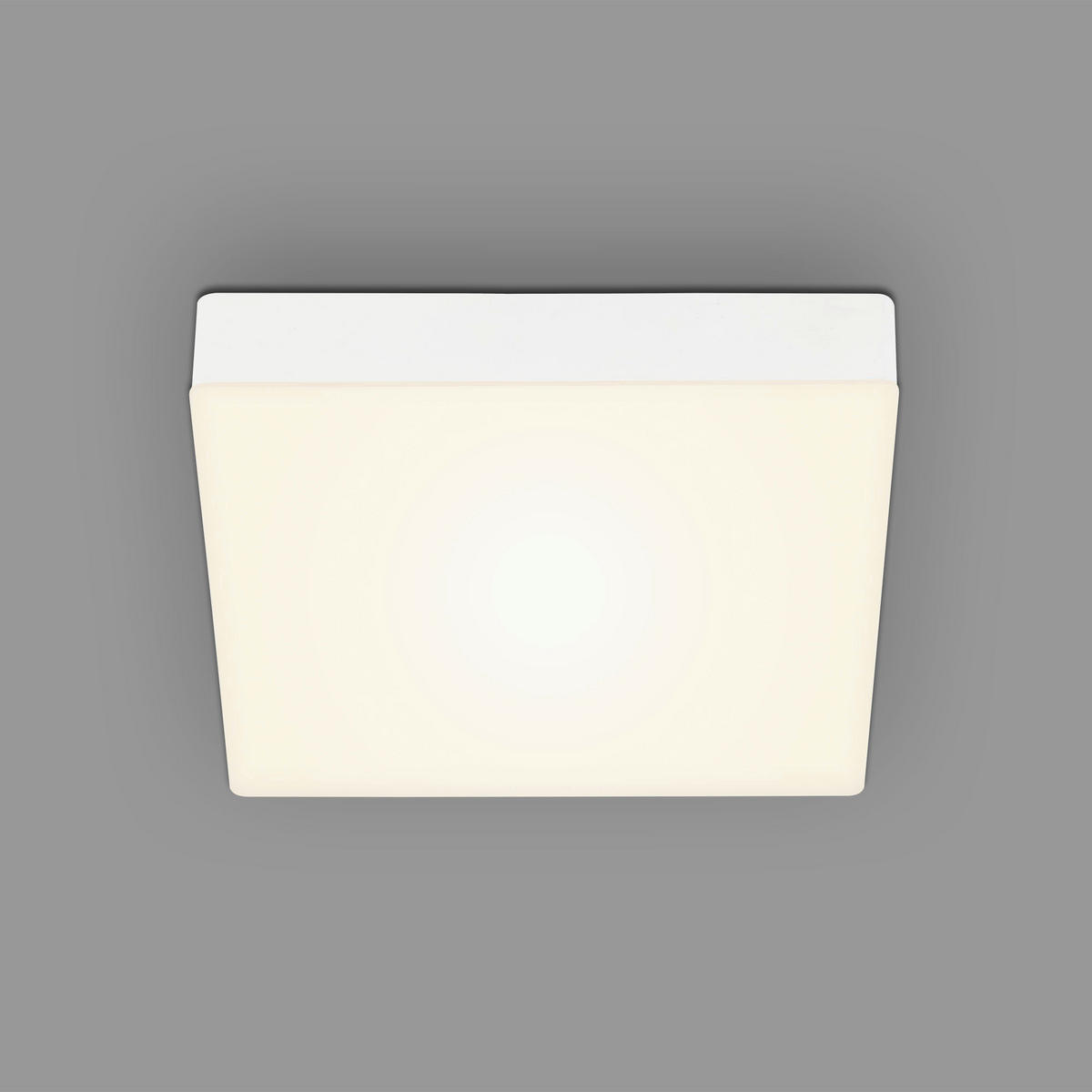 STROPNÉ LED SVIETIDLO, 21.2/21.2/3.6 cm - biela, Design, plast (21.2/21.2/3.6cm)