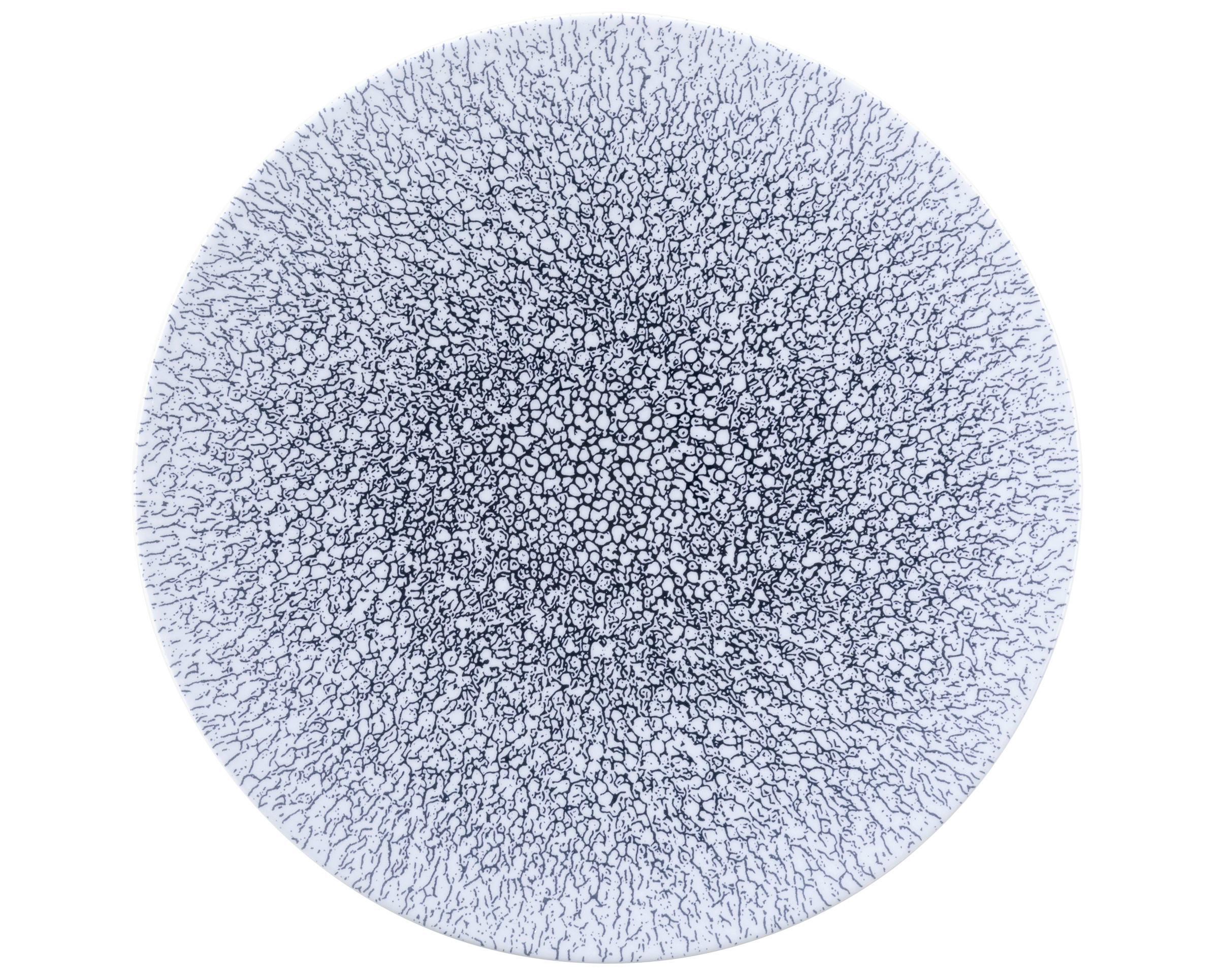 SPEISETELLER Life Molecule 28 cm  - Weiß/Dunkelblau, Basics, Keramik (28cm) - Seltmann Weiden