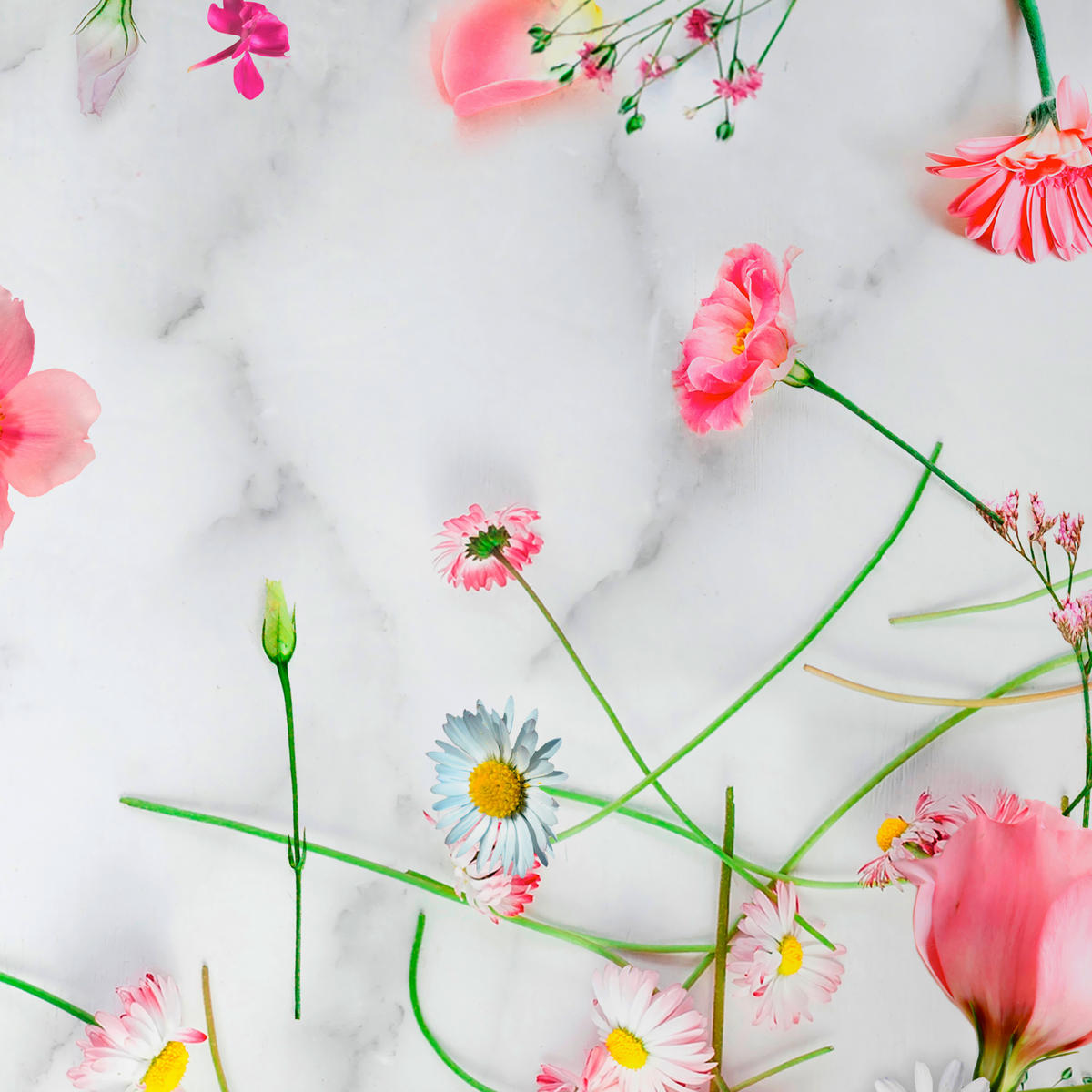 WENDEBETTWÄSCHE Satin 155/220 cm  - Multicolor, Textil (155/220cm) - Esposa