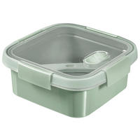 ÉTELTÁROLÓ DOBOZ  0,7 l  - áttetsző/zöld, Basics, műanyag (20.3/15.4/5.2cm)