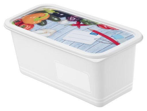 GEFRIERDOSE 1,5 l  - Blau, Basics, Kunststoff (23,3/11,8/13,6cm) - Rotho