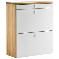 SCHUHKIPPER  in 100,1/95,5/29,2 cm  - Edelstahlfarben/Erlefarben, Design, Glas/Holz (100,1/95,5/29,2cm) - TEAM 7