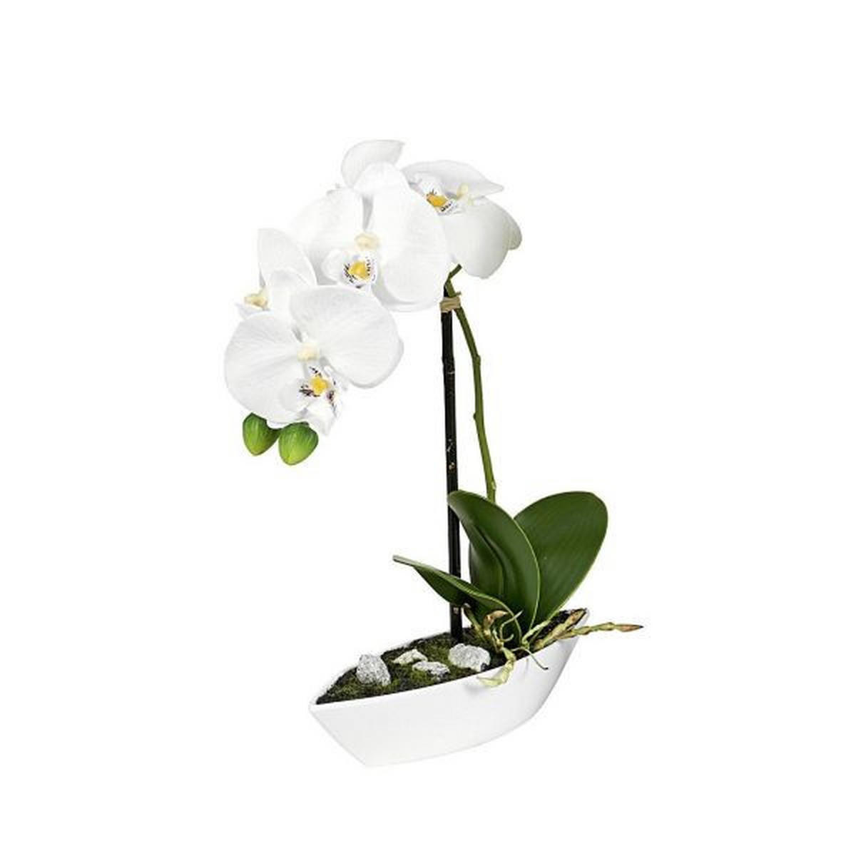 ORKIDÉ - grön/cremefärgad, Basics, textil/plast (28cm)