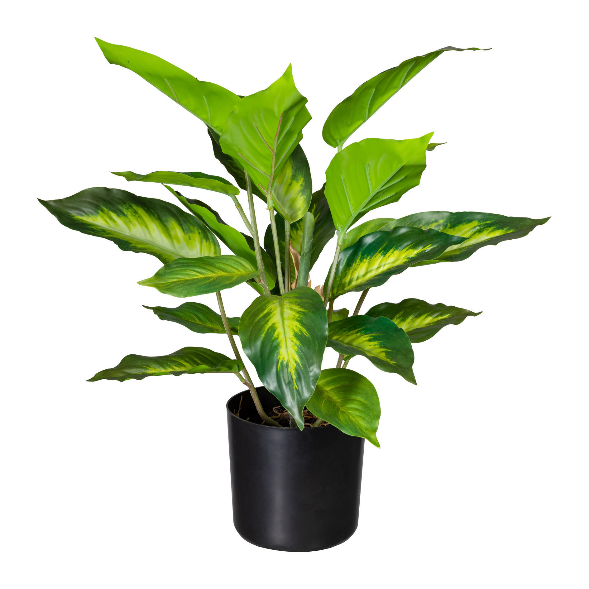 KUNSTPFLANZE Dieffenbachia 45 cm  - Schwarz/Braun, Design, Kunststoff (45cm) - P & B
