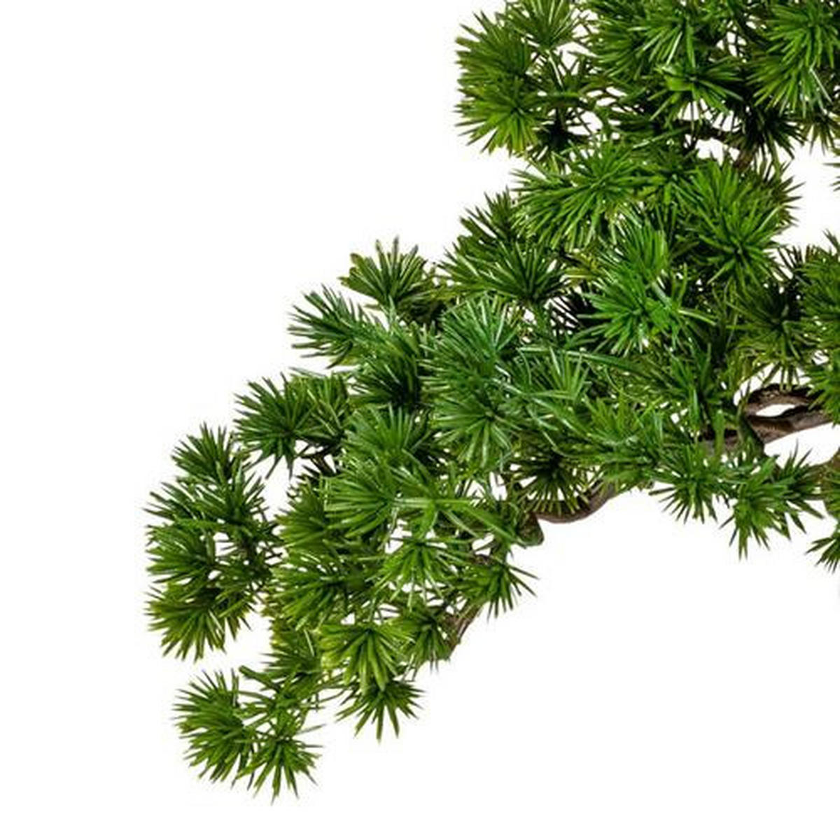 KUNSTPFLANZE Bonsai 125 cm  - Braun/Grün, Basics, Kunststoff (125cm) - P & B