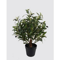 MŰNÖVÉNY - fekete/zöld, Basics, műanyag