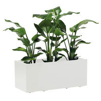 BLUMENKASTEN  - Weiß, Basics, Kunststoff (99,5/39,5/39,5cm)