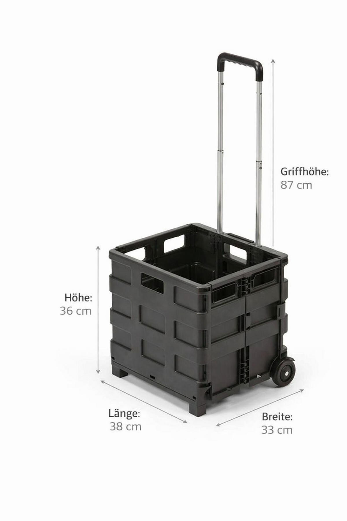 TRANSPORTWAGEN - Schwarz, Basics, Kunststoff (38/33/36cm)