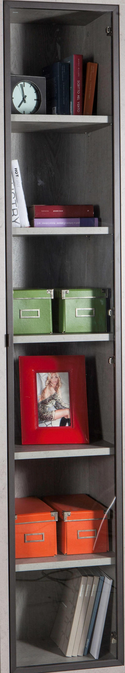TÜR - Anthrazit, Design, Glas/Metall (37/209/2cm) - Carryhome