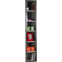 TÜR - Anthrazit, Design, Glas/Metall (37/209/2cm) - Carryhome