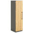 AKTENSCHRANK Eiche massiv Anthrazit, Eichefarben - Eichefarben/Anthrazit, Design, Holz/Holzwerkstoff (40/148,5/41,9cm) - MODERANO