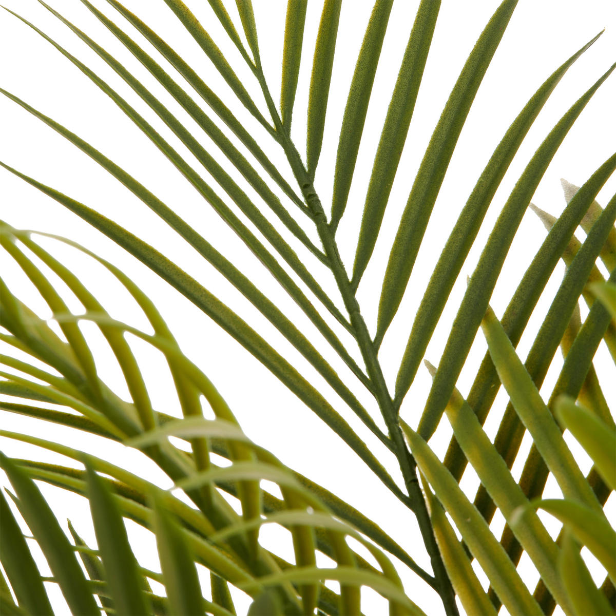 KUNSTPFLANZE Palme 90 cm  - Creme/Braun, Basics, Kunststoff (90cm)