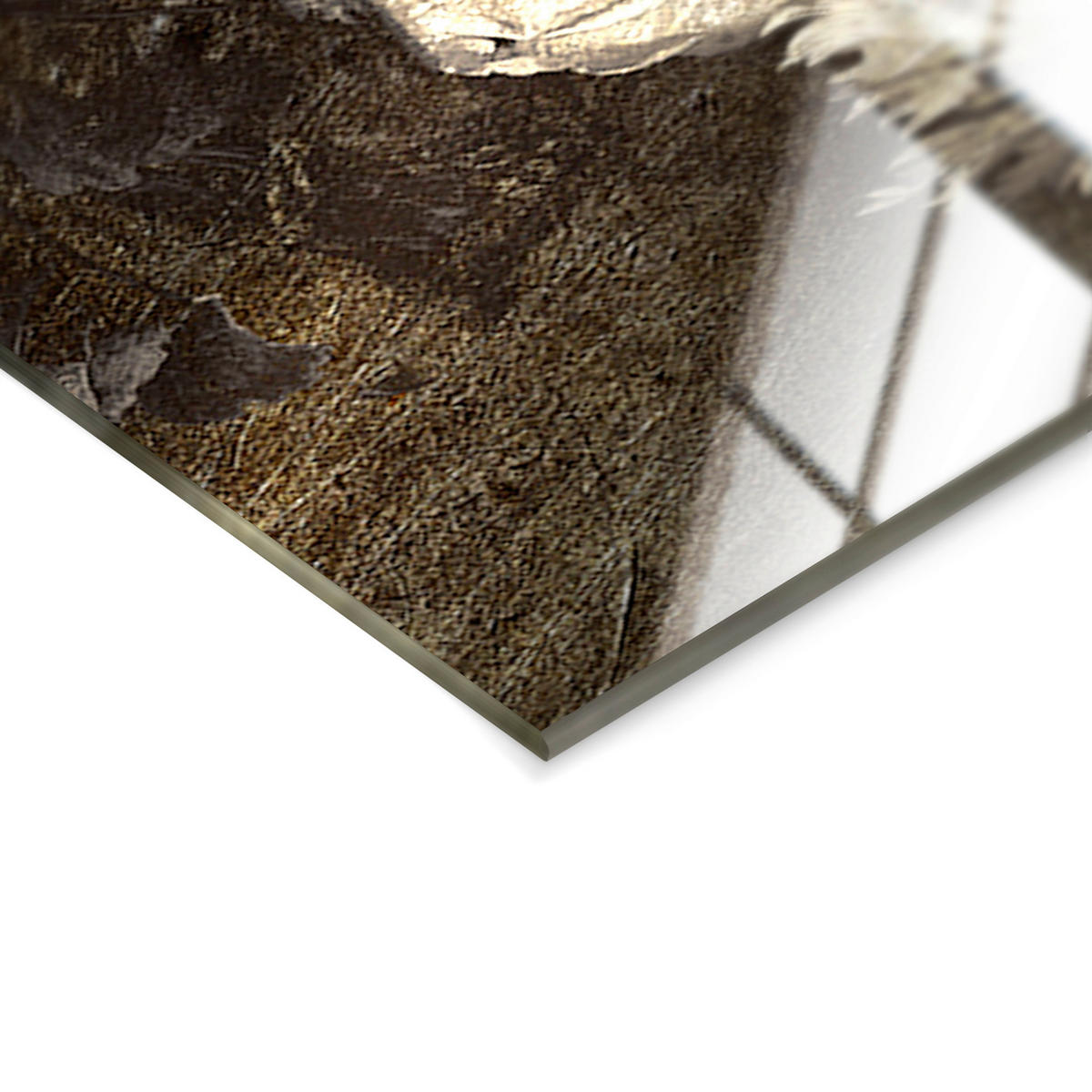 GLASBILD Frauen 70/100 cm  - Goldfarben/Schwarz, Basics, Glas/Papier (70/100cm)