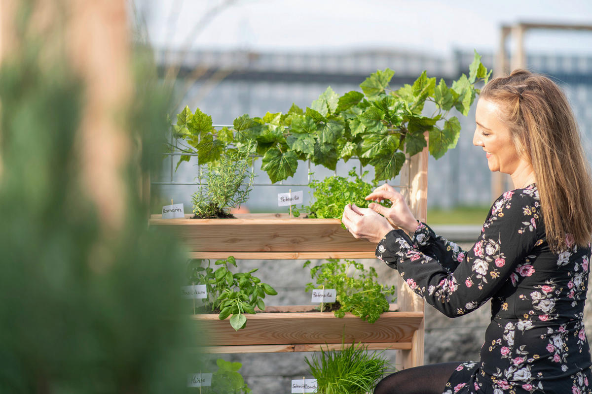 GARTENREGAL Holz  - Lärchefarben, Basics, Holz (80/95/50cm) - Ambia Garden