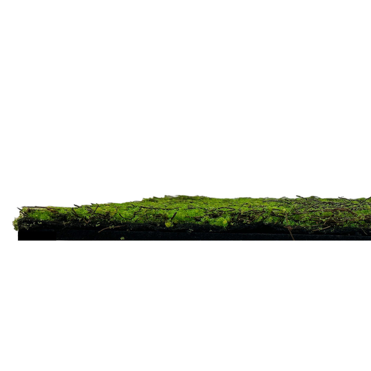 AKUSTIKPANEEL Modular Wall System Design Flora 52/52/2 cm  - Hellgrün, MODERN, Kunststoff (52/52/2cm) - Jangal