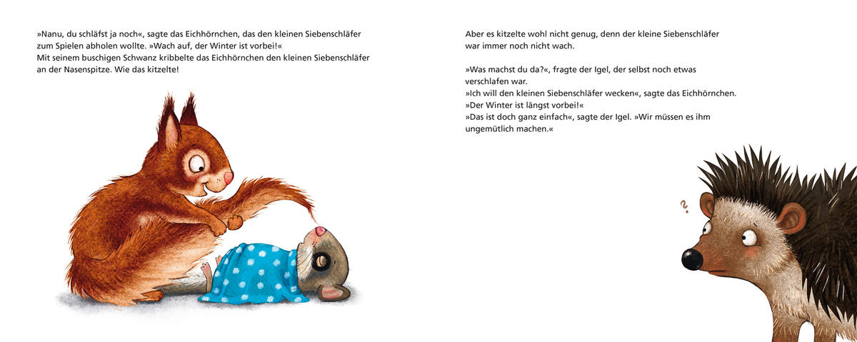 BILDERBUCH - Basics (17/20,7/2,1cm)