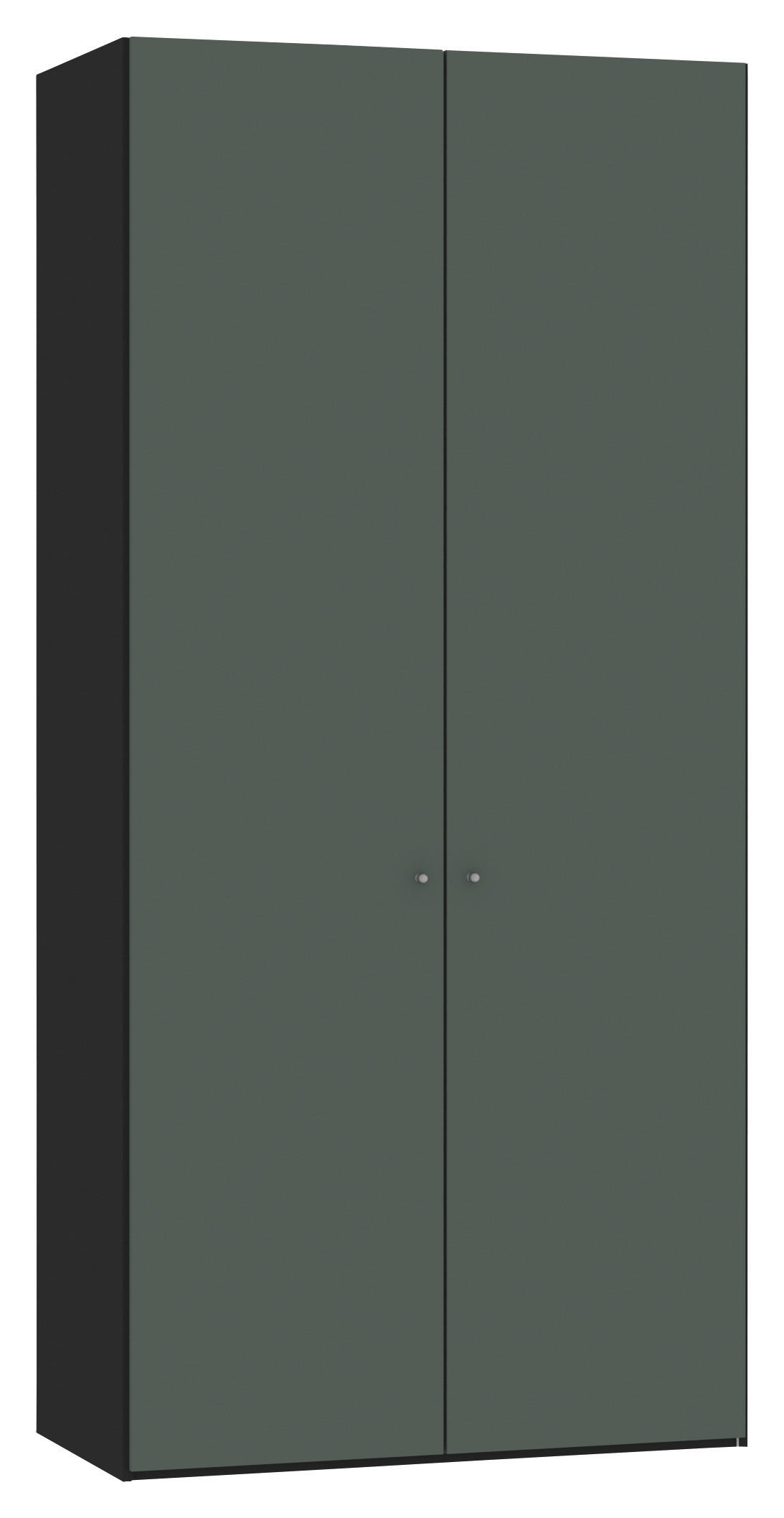 DREHTÜRENSCHRANK 102/220/40 cm 2-türig Grau, Grün, Schwarz  - Silberfarben/Schwarz, Design, Glas/Holzwerkstoff (102/220/40cm) - Jutzler