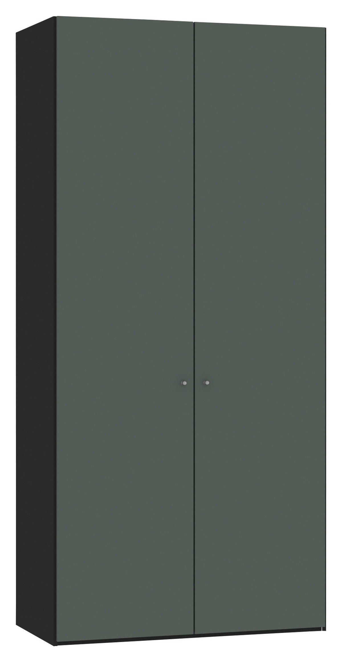 DREHTÜRENSCHRANK 102/220/40 cm,  in Grau, Grün, Schwarz, 2-türig  - Silberfarben/Schwarz, Design, Glas/Holzwerkstoff (102/220/40cm) - Jutzler