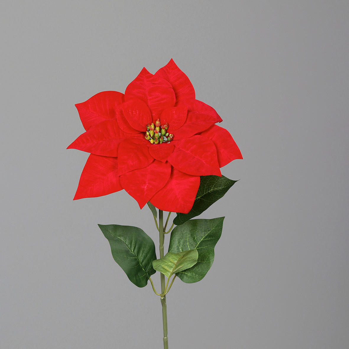 CRĂCIUNIțA - verde/roșu, Lifestyle, plastic/textil (65cm)