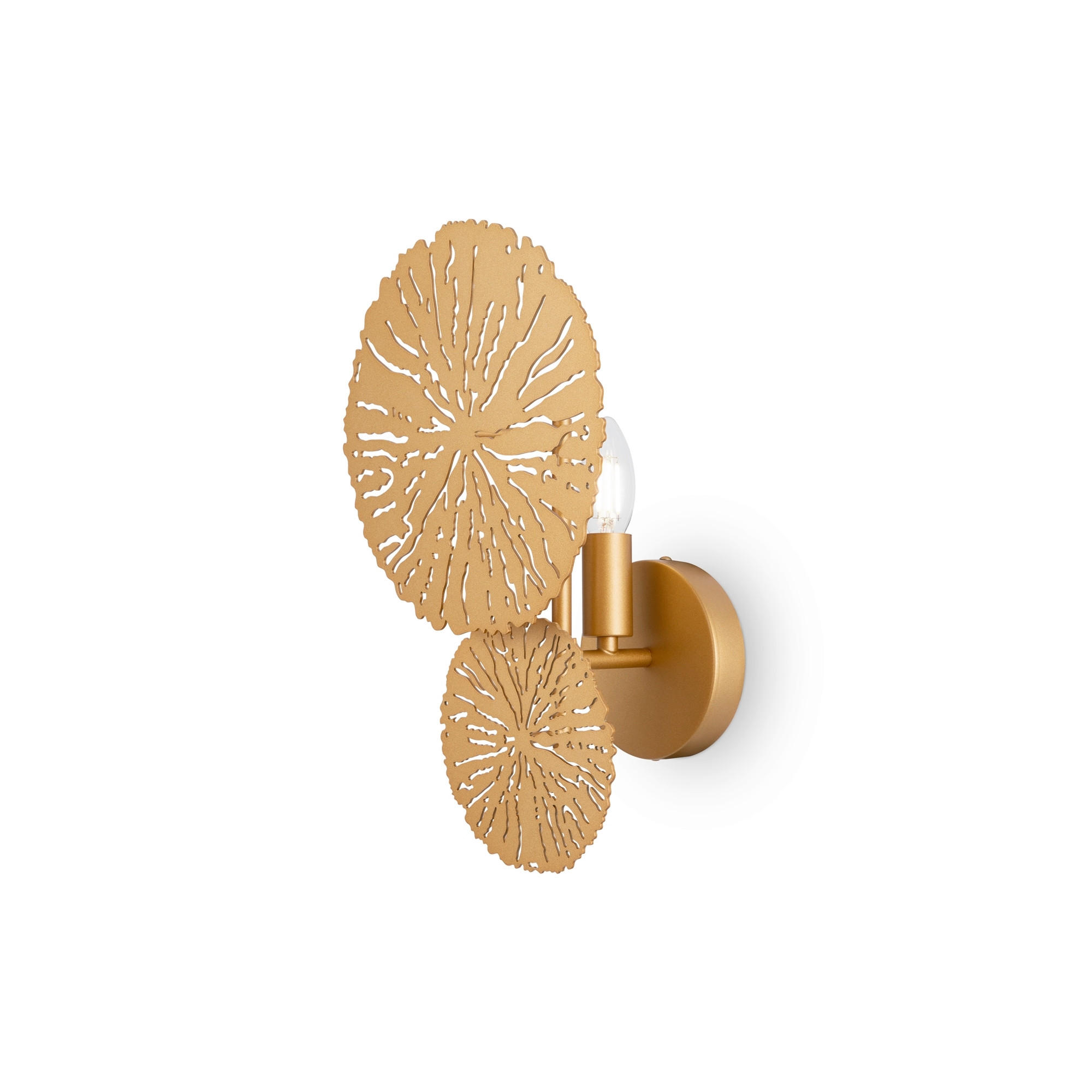 WANDLEUCHTE Modern   - Goldfarben, Trend, Metall (36,2/23/16,2cm) - MAYTONI