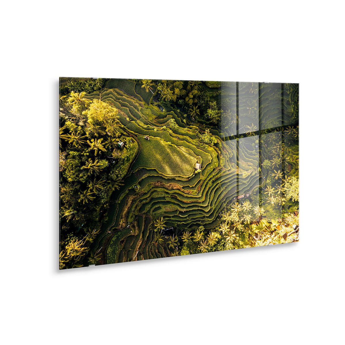 GLASBILD 120/80 cm  - Multicolor, Basics, Glas/Papier (120/80cm)