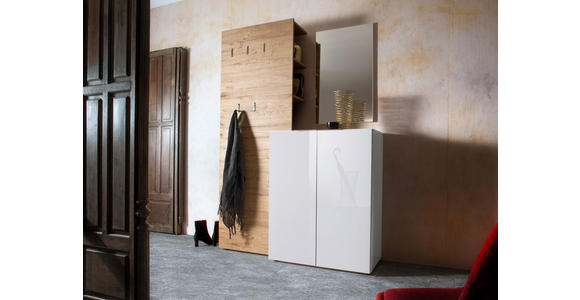 SCHUHSCHRANK 80/101/39 cm - Edelstahlfarben/Schwarz, Design, Holzwerkstoff/Kunststoff (80/101/39cm) - Carryhome